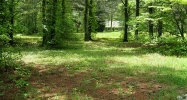 280 Mullinax Road Alpharetta, GA 30004 - Image 8355480