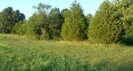 11 Acres CR 304 Jonesboro, AR 72401 - Image 8376148