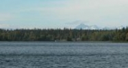 L7 Moose Run Road Nikiski, AK 99635 - Image 8401029