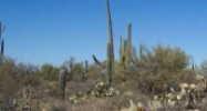 0 Decker #N Tucson, AZ 85742 - Image 8405587