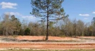 Lot 5 County Road 539 Enterprise, AL 36330 - Image 8409233
