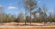 Lot 3 County Road 539 Enterprise, AL 36330 - Image 8409234