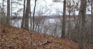 Lot 54 RIVIERA DR Rogers, AR 72756 - Image 8455518