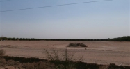 13750 S AVE 3 E #Approx Ave 3E &amp; Co 13 3/4 Yuma, AZ 85365 - Image 8473761