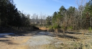 0 Rushing Springs Rd Lincoln, AL 35096 - Image 8478917