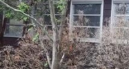 4 Toffee Ln Madison, CT 06443 - Image 8494711