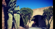 12649 N 22nd Avenue Phoenix, AZ 85029 - Image 8499793