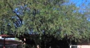7409 E 34th St Tucson, AZ 85710 - Image 8526728