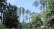 0 Orleans St Gulf Shores, AL 36542 - Image 8563709