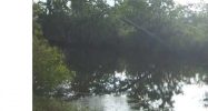 Bonfouca Dr 6 Slidell, LA 70458 - Image 8592947