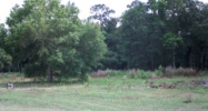 1.23 AC HWY 301 Ludowici, GA 31316 - Image 8594506