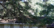 2632 Bantry Bay Drive Tallahassee, FL 32309 - Image 8594781