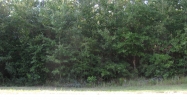 0 Cypress St Elberta, AL 36530 - Image 8623173