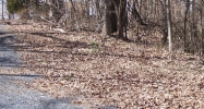 Lot 161 Maple Lane Cadiz, KY 42211 - Image 8624097