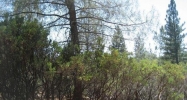 18005 Old Coach Way Grass Valley, CA 95945 - Image 8629743
