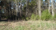 Lot 13 Echo Valley Auburn, KY 42206 - Image 8635084