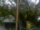 1603 Sabine street Houston, TX 77007 - Image 8640032