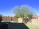 1006 E Milada Drive Phoenix, AZ 85042 - Image 8640728