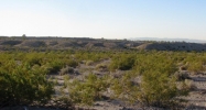 1815 Gardner Rd Fort Mohave, AZ 86426 - Image 8646054