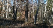 1 Cowart Mountain Trail Waleska, GA 30183 - Image 8662730