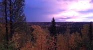 1085 Bogie Court Soldotna, AK 99669 - Image 8697506