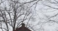 8720 Lange Rd Fowlerville, MI 48836 - Image 8698426