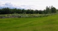 L2 Scott Road Palmer, AK 99645 - Image 8703119
