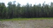 10290 E Vince Circle Palmer, AK 99645 - Image 8703118
