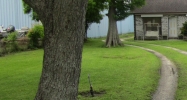 1548 Claire Ave Gretna, LA 70053 - Image 8706098