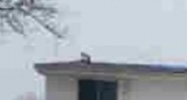 34672 Richard O Dr Sterling Heights, MI 48310 - Image 8710569