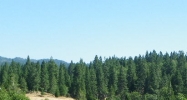 Hassler Road Camino, CA 95709 - Image 8718428