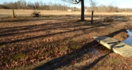 970 CO RD 1459 Vinemont, AL 35179 - Image 8723822