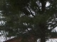 1300 Cedarbrook Rd Goshen, KY 40026 - Image 8763056