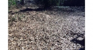 184 Clay Street Se Atlanta, GA 30317 - Image 8766062