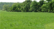 40 acres MOUNTAIN VIEW RD Lincoln, AR 72744 - Image 8779793