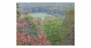 23588 DONALD WRIGHT RD Lincoln, AR 72744 - Image 8779795