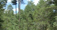 Lot 90 Tonto Creek Estates Payson, AZ 85541 - Image 8784900