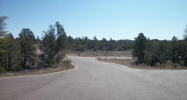 1401 W. Norris Court Payson, AZ 85541 - Image 8786798