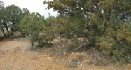 1606 W. Dalton Payson, AZ 85541 - Image 8786768