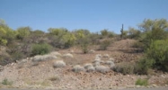 4600 S Black Mountain Road Wickenburg, AZ 85390 - Image 8791206