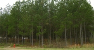 000 BJ Mixon Cottonwood, AL 36320 - Image 8837749