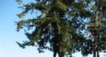3630 Long Lake Dr Se - Image 8838095