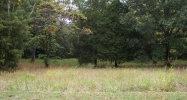 Lot 15, 16, 17 B. Hall Rd. Cadiz, KY 42211 - Image 8931077