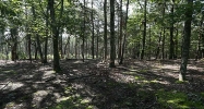 1715 Johnson Road Cumming, GA 30040 - Image 8986218