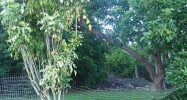 1222 NE 115 ST Miami, FL 33161 - Image 8989918