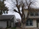 6950    Allegheny Place Stockton, CA 95219 - Image 8994140