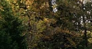 2426 Lavista Road Ne Atlanta, GA 30329 - Image 9011372