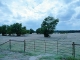 0 County Road 670 Blue Ridge, TX 75424 - Image 9020906