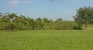 0 OLD CUTLER Miami, FL 33157 - Image 9034088