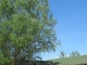 17638 28th Ave N Glyndon, MN 56547 - Image 9039862